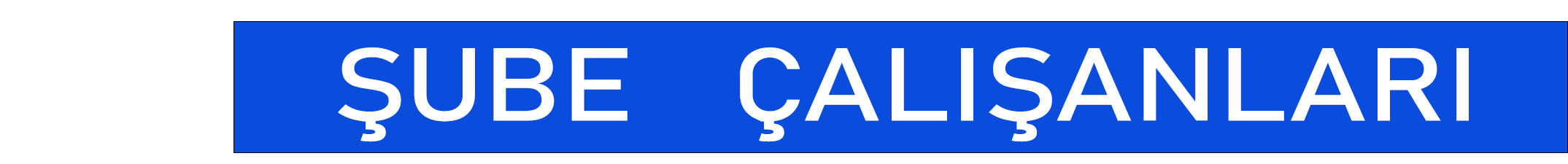 gayrimenkul mağazası
